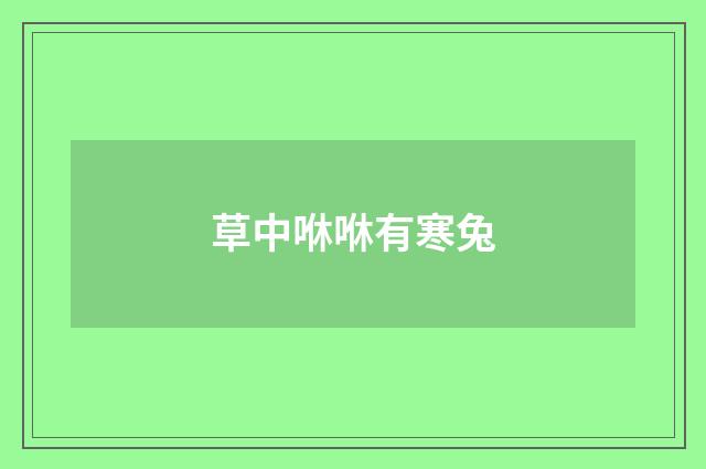草中咻咻有寒兔