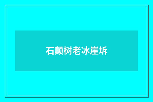 石颠树老冰崖坼