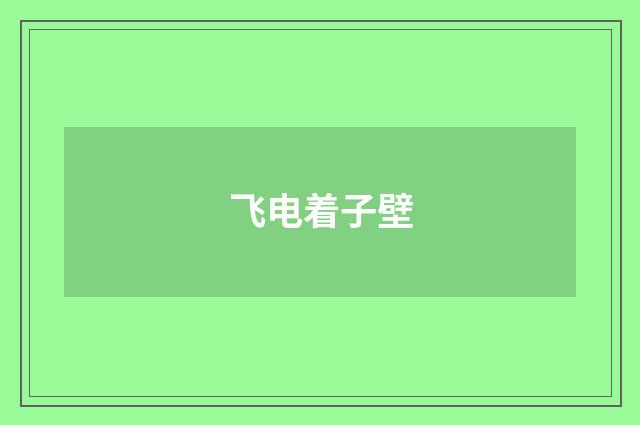 飞电着子壁