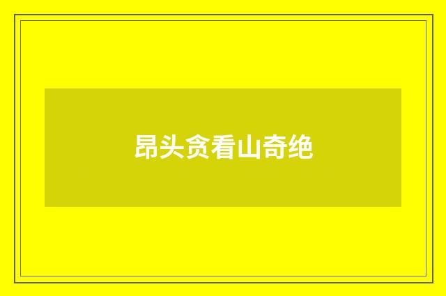 昂头贪看山奇绝