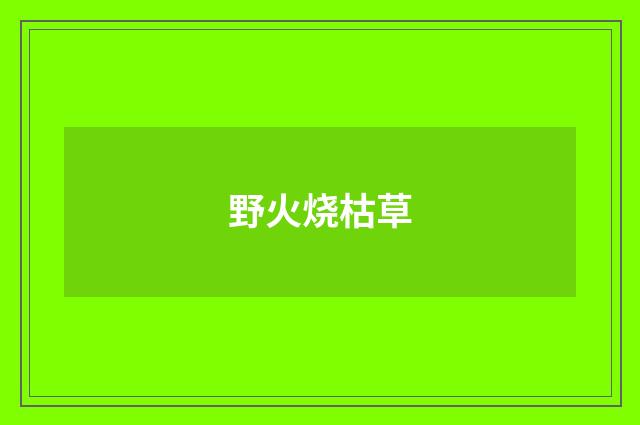 野火烧枯草