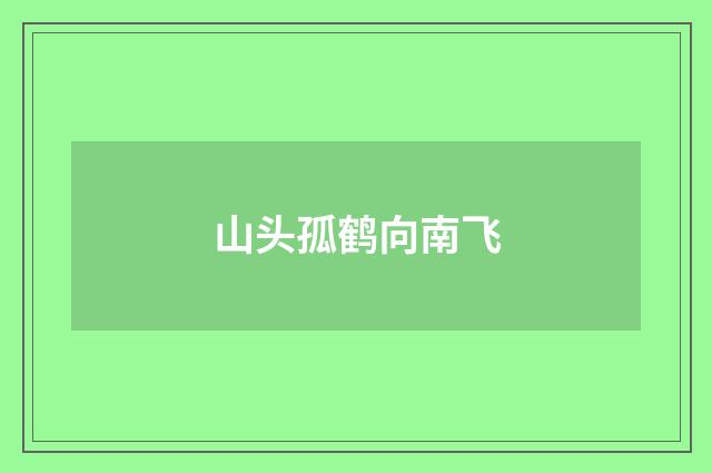 山头孤鹤向南飞