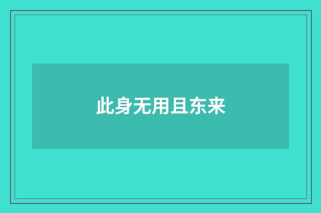 此身无用且东来