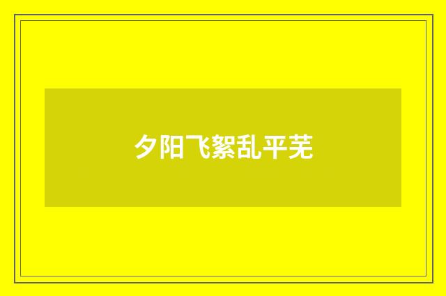 夕阳飞絮乱平芜