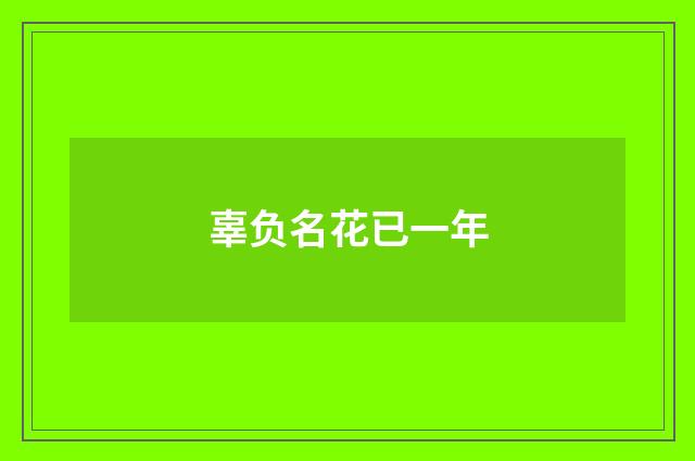 辜负名花已一年