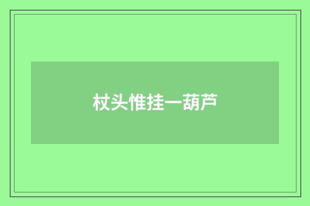 杖头惟挂一葫芦