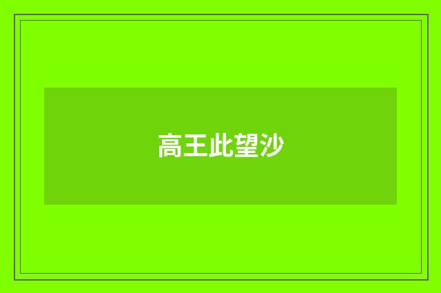 高王此望沙