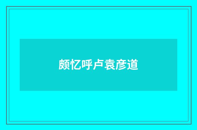 颇忆呼卢袁彦道