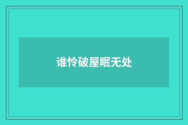 谁怜破屋眠无处