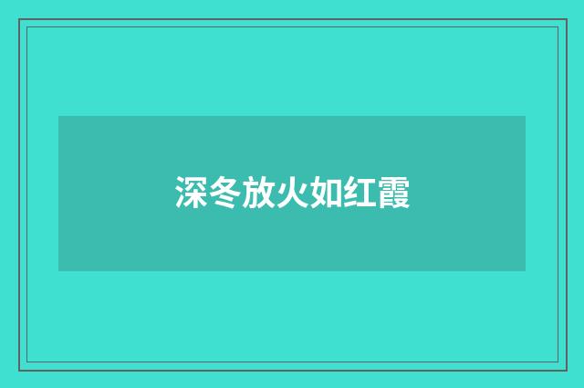 深冬放火如红霞
