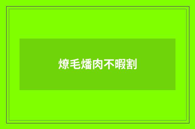 燎毛燔肉不暇割
