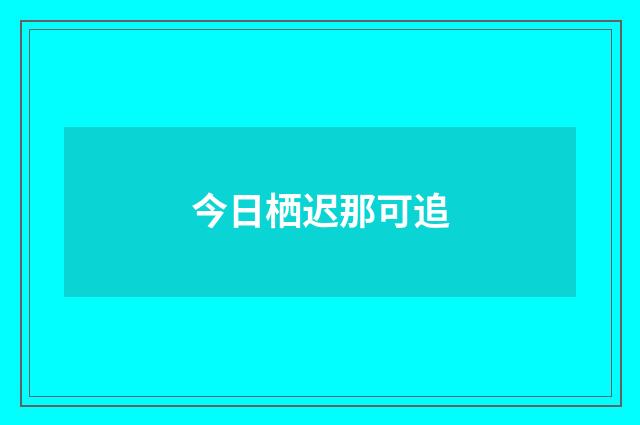今日栖迟那可追