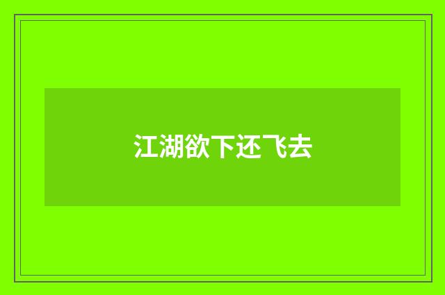 江湖欲下还飞去