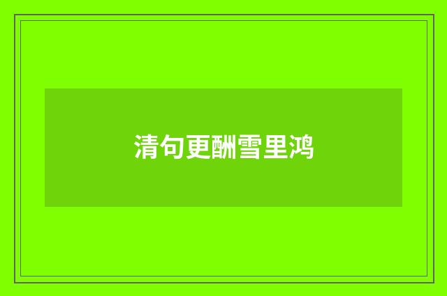 清句更酬雪里鸿