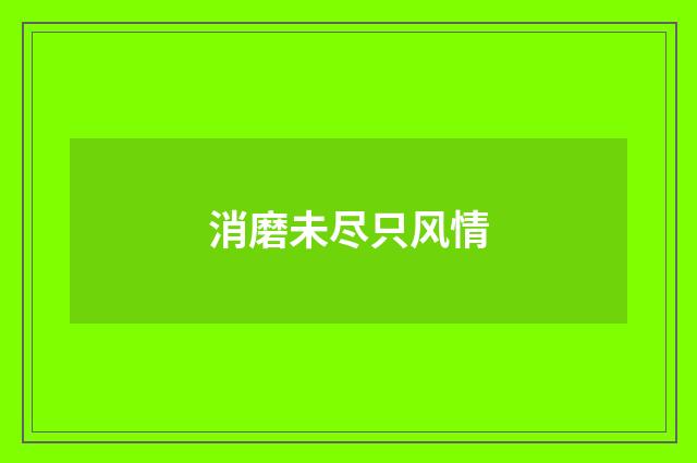 消磨未尽只风情