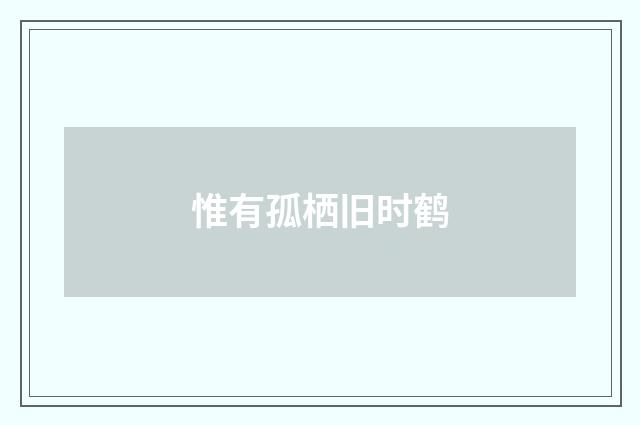 惟有孤栖旧时鹤