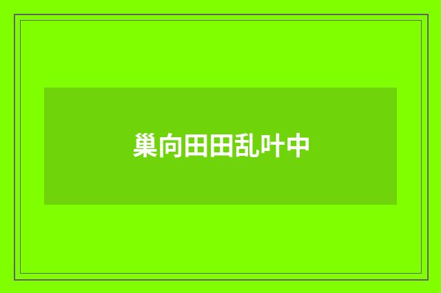 巢向田田乱叶中
