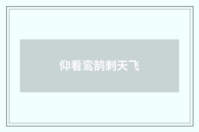 仰看鸾鹄刺天飞