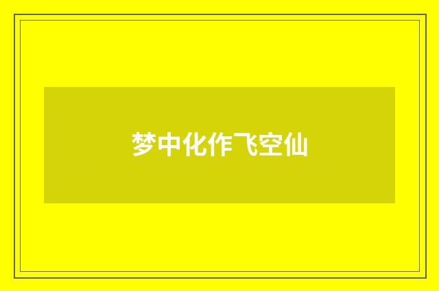 梦中化作飞空仙