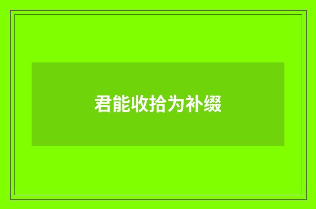 君能收拾为补缀