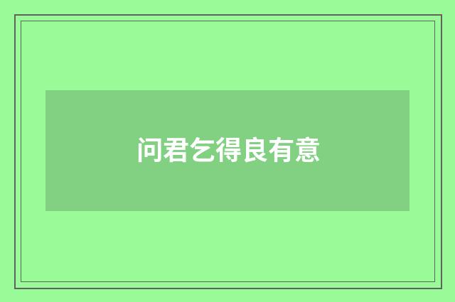 问君乞得良有意
