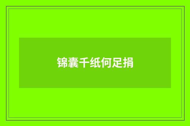 锦囊千纸何足捐
