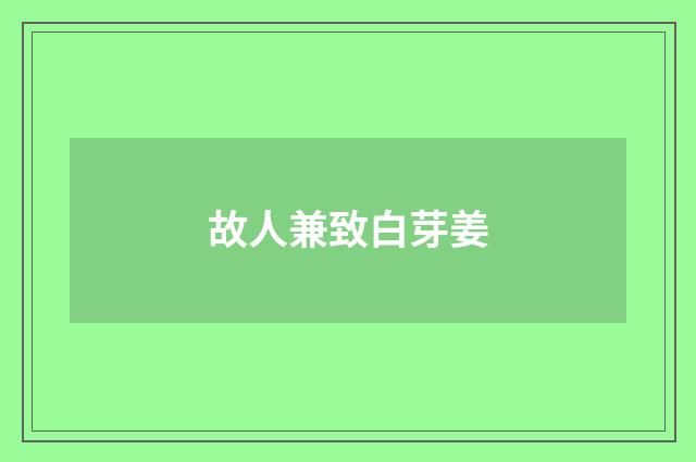 故人兼致白芽姜