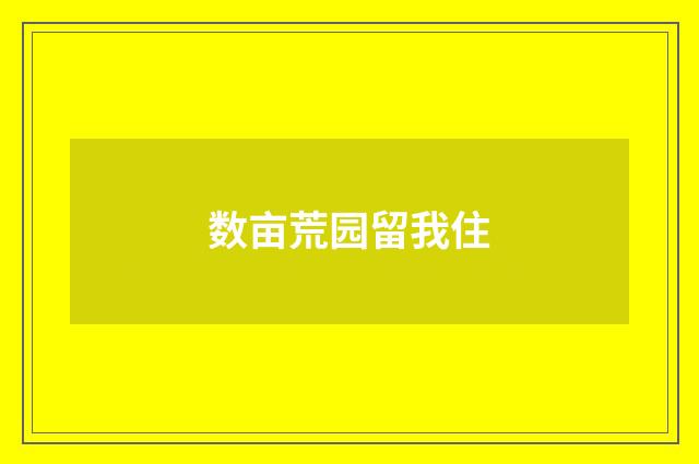 数亩荒园留我住