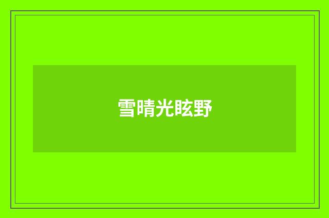 雪晴光眩野