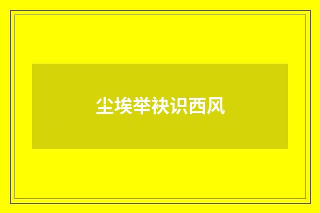 尘埃举袂识西风