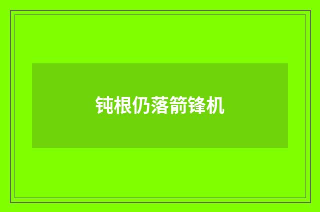 钝根仍落箭锋机