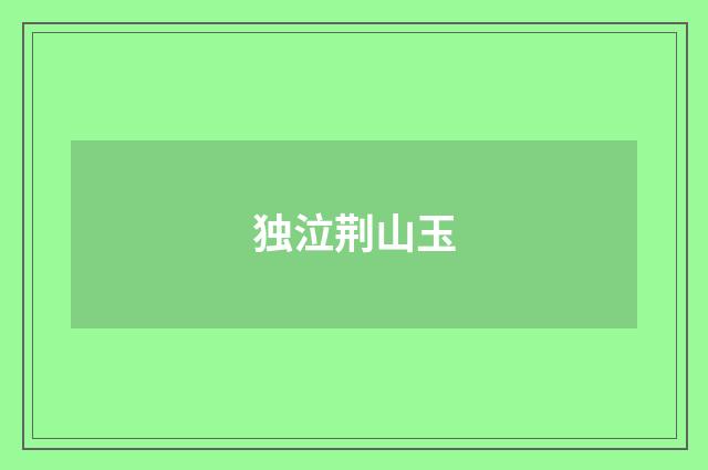 独泣荆山玉