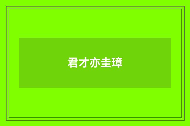 君才亦圭璋
