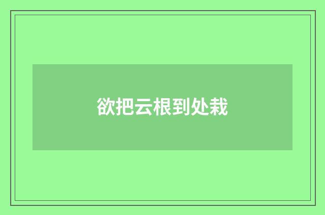 欲把云根到处栽