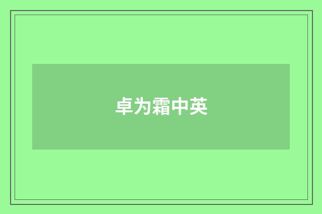 卓为霜中英