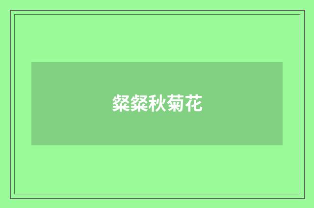 粲粲秋菊花