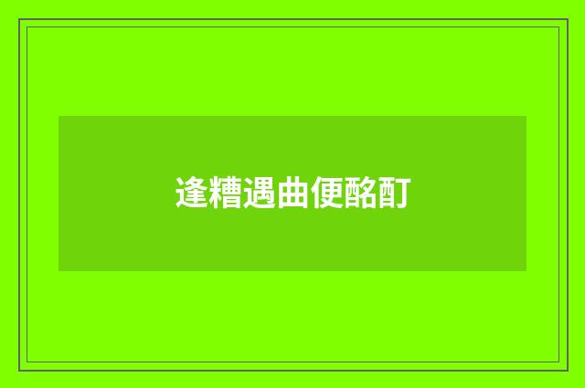 逢糟遇曲便酩酊