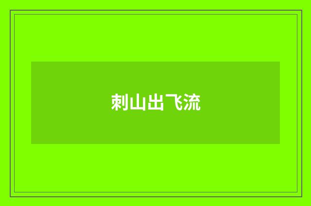 刺山出飞流