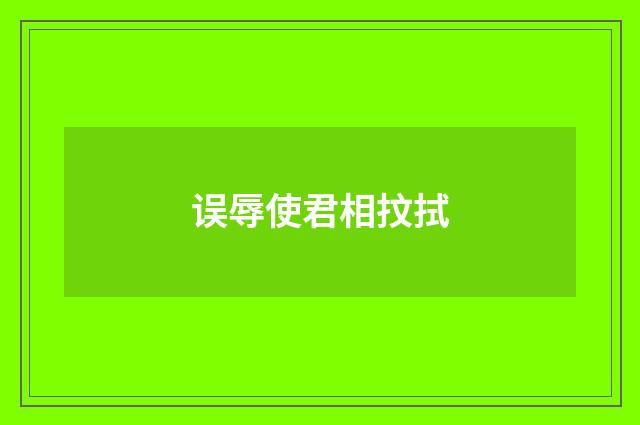 误辱使君相抆拭