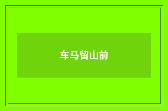 车马留山前