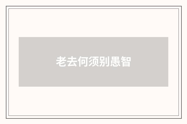 老去何须别愚智