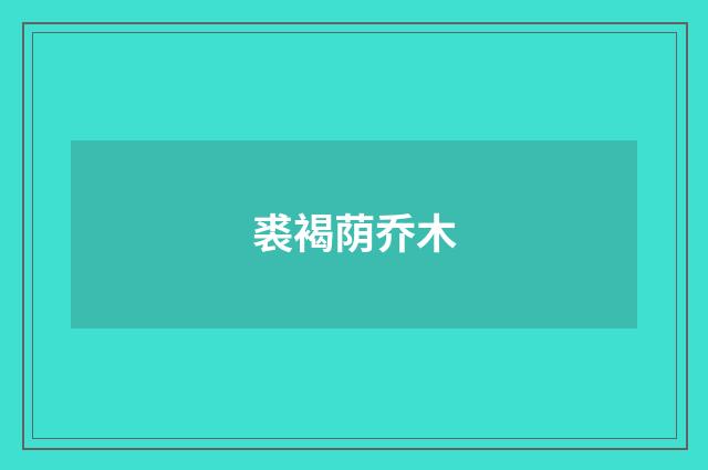 裘褐荫乔木