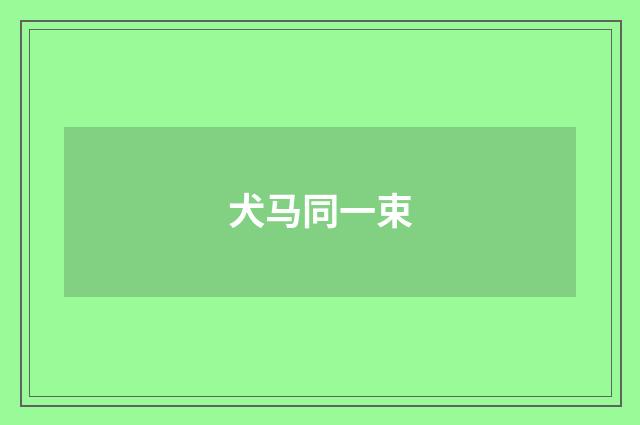 犬马同一束