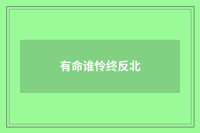 有命谁怜终反北