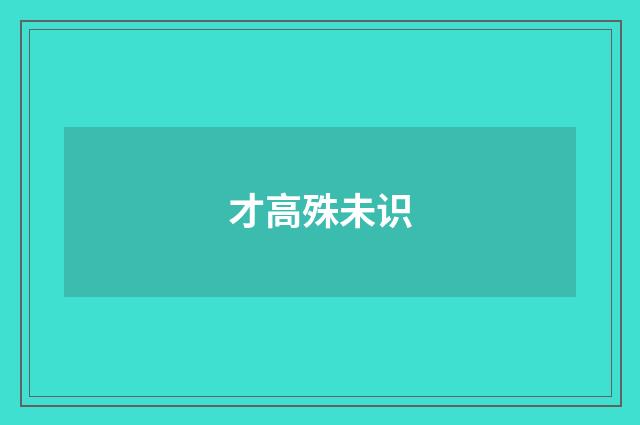 才高殊未识