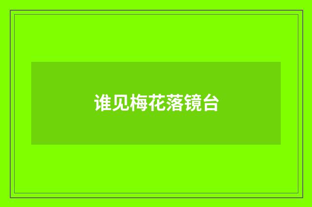谁见梅花落镜台