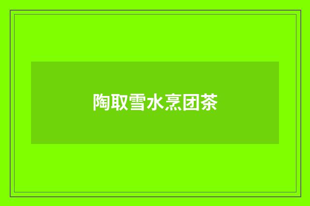 陶取雪水烹团茶