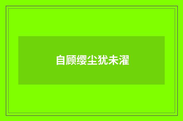 自顾缨尘犹未濯