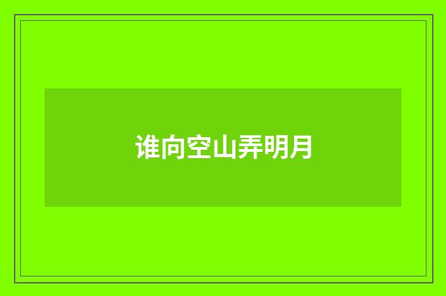 谁向空山弄明月