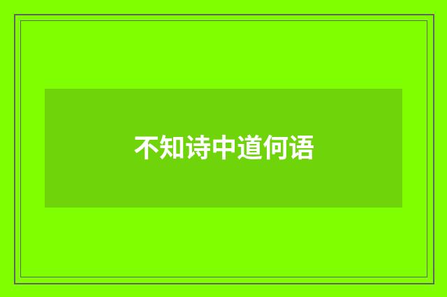 不知诗中道何语
